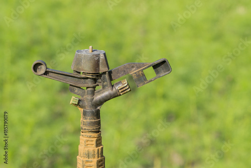 Old water springer against a green background.