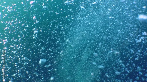 A stream of small air bubbles rising from the depths.
