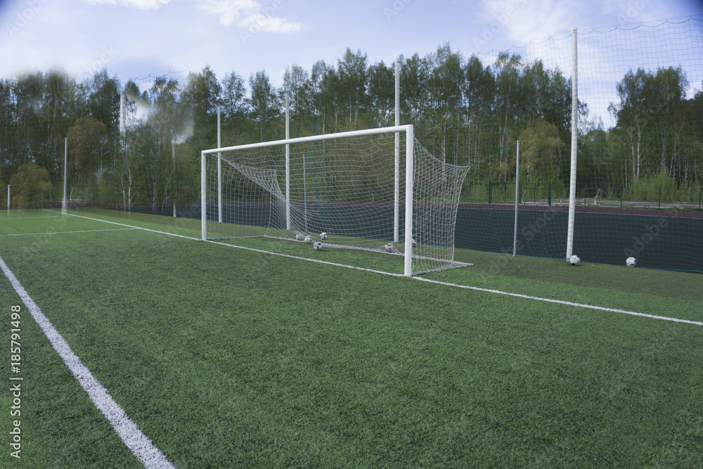 Fototapeta premium soccer gate goal on green grass