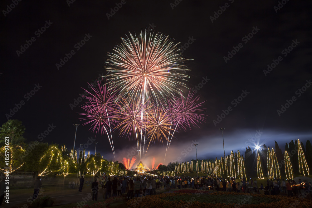 Fireworks celebration at The Royal Park Rajapruek Fireworks celebration at The Royal Park Rajapruek