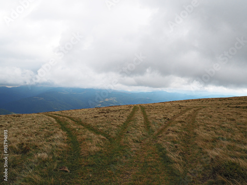 Carpatian mountains village at green forest photo