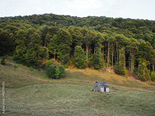 Carpatian mountains village at green forest photo