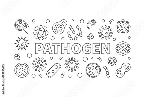 Pathogen horizontal illustration. Vector banner made with bacter