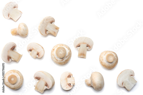 mushrooms isolated on white background. top view