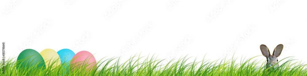 Ostern Hase Wiese Eier Freisteller Ostern Hase Wiese Eier Freisteller