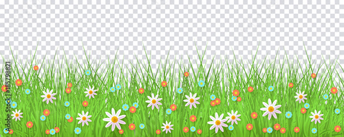 vector easter holiday template on transparent background with spring festive elements - green grass meadow, daisy flowers for your design. Illustration on green background