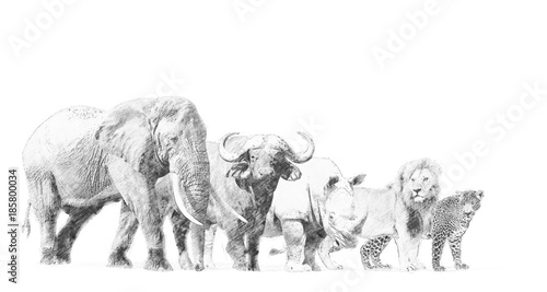 Big african five animal. Sketch with pencil
