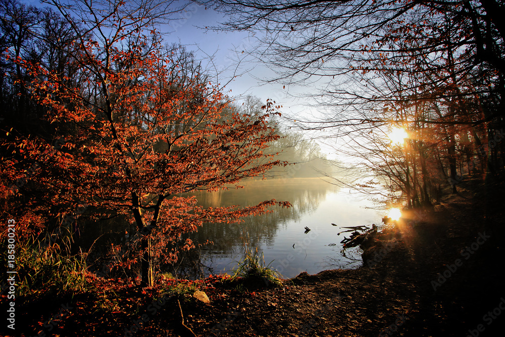 Fototapeta premium Morning Lake