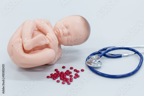 Embryo model, fetus medicine and treatment concept for classroom education.