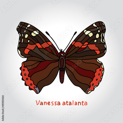 Butterfly Vanessa Atalanta. Vector illustration for your cute design.