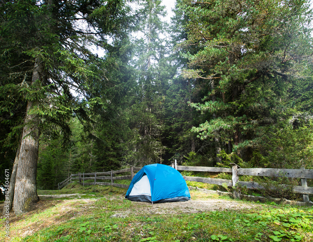 A single blue camping tent in campsite which is in  a green forest of tall tress