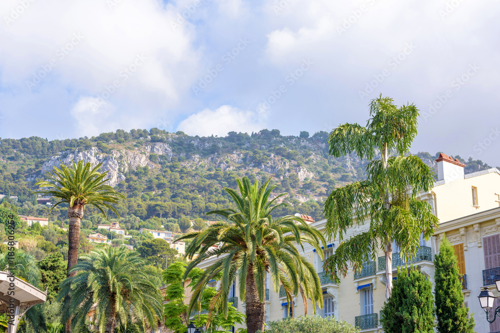 Daylight view to mountains and trees from city