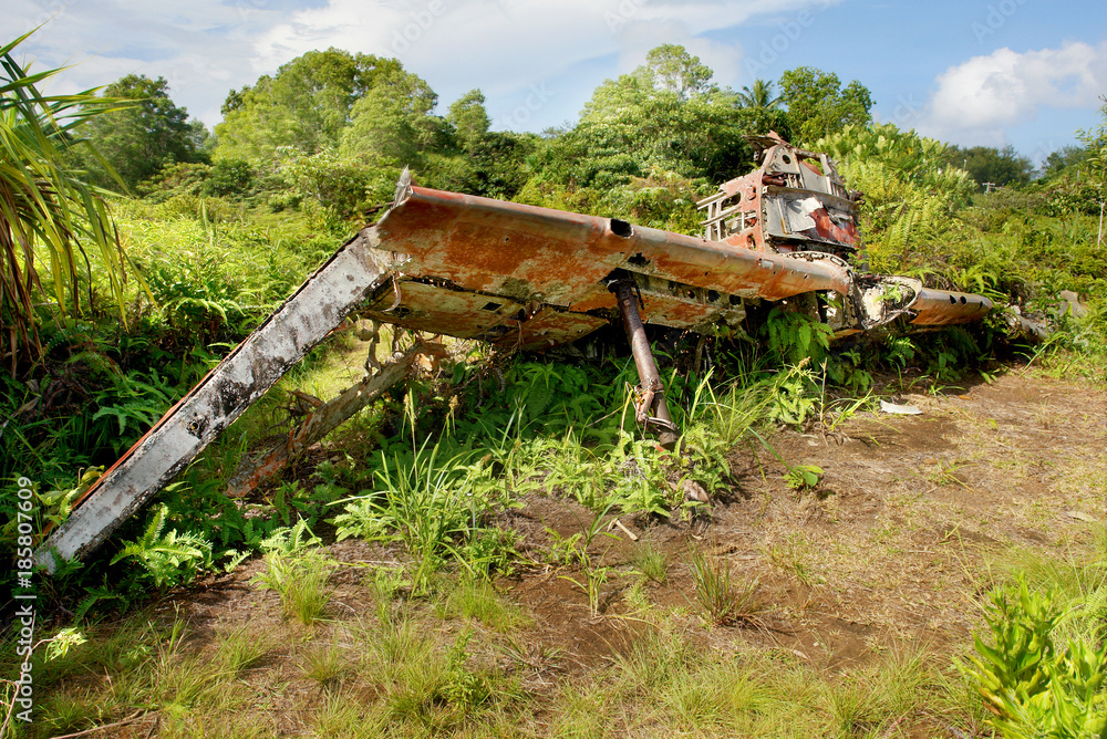 Japanese airplane fighter wreck  from the period of the Second World War on the Micronesian Yap island
 - obrazy, fototapety, plakaty 