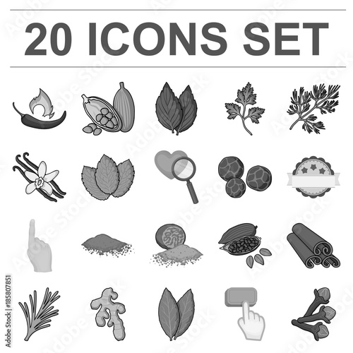 Herb and spices monochrome icons in set collection for design.Different kinds of seasonings vector symbol stock web illustration.