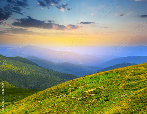 summer green mountain valley at the early morning © Yuriy Kulik