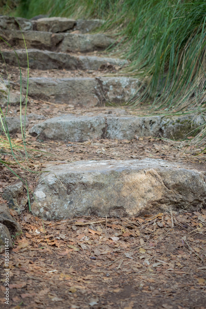 Stone steps in the middle of the park Stone steps in the middle of the park