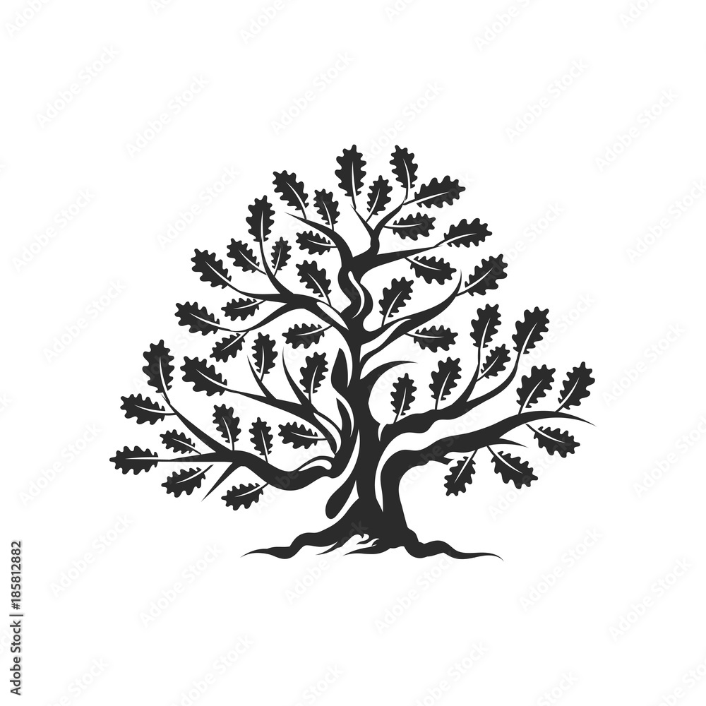 Obraz premium Huge and sacred oak tree silhouette logo badge isolated on white background. Modern vector national tradition green plant icon sign design. Premium quality organic bonsai logotype flat illustration.