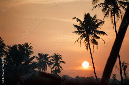 Sunrise over the backwaters in Kerala  India