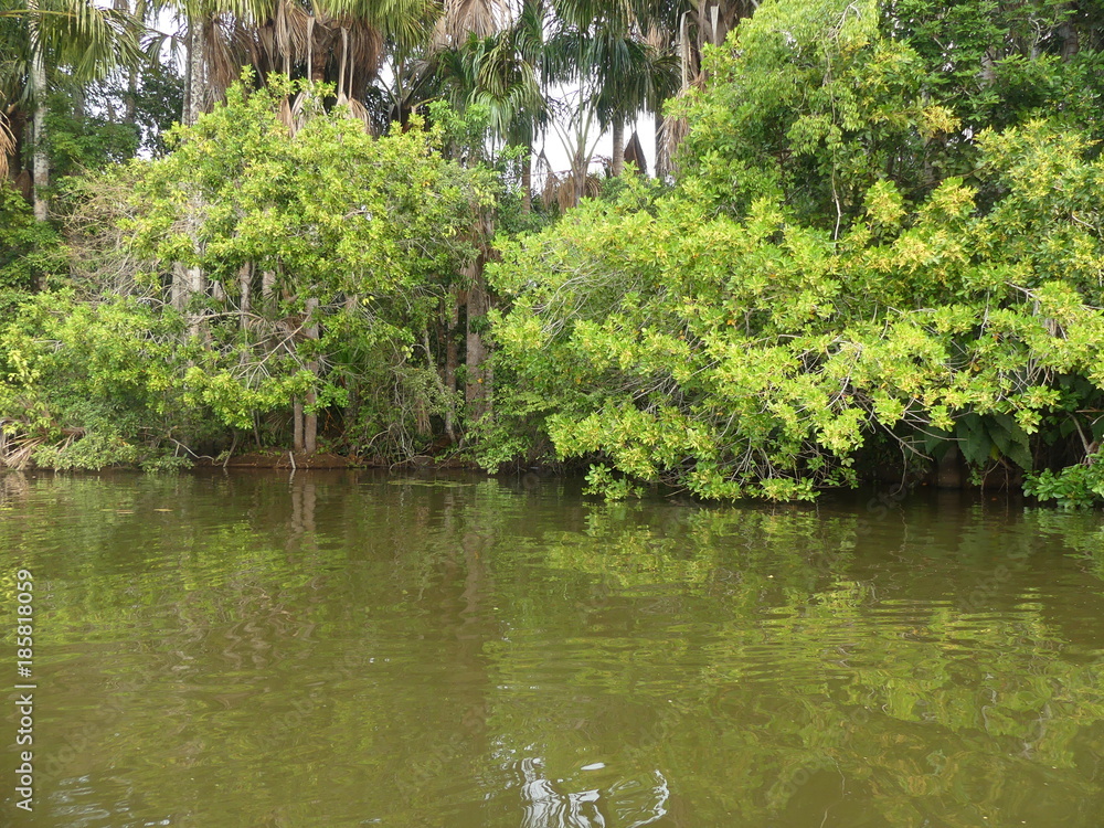 Lac Sandoval en Amazonie au Pérou Lac Sandoval en Amazonie au Pérou