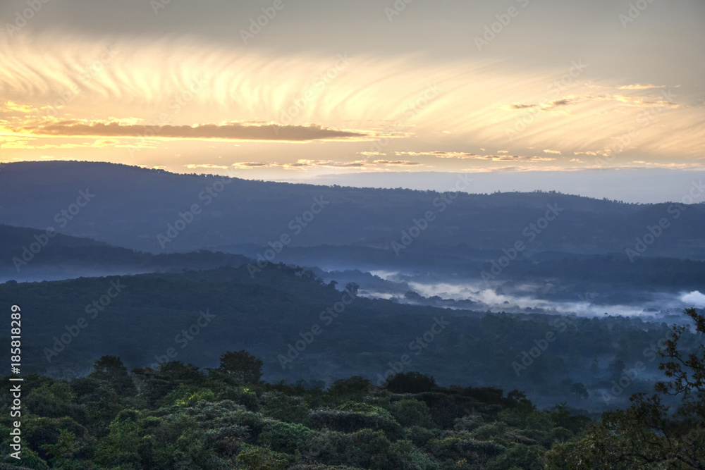 Misty sunrise over Kakamega Forest, Kenya
