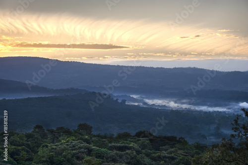 Misty sunrise over Kakamega Forest, Kenya photo