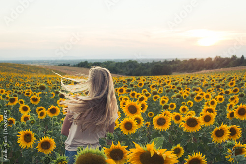 Sunflowerfield