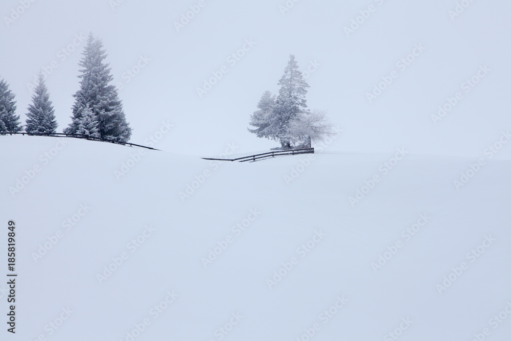 snowy and foggy mountains landscape winter magic season snowy and foggy mountains landscape winter magic season