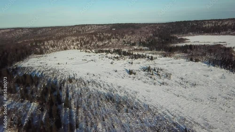 Aerial view of a snowy forest Aerial view of a snowy forest