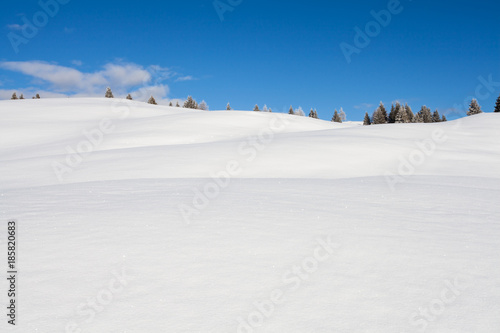 Winter background snow and blue sky landscape in south tirol Italy © Alice_D