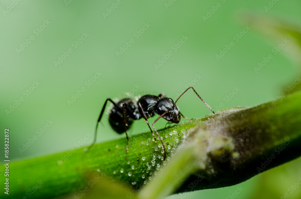 Mundo macro Mundo macro