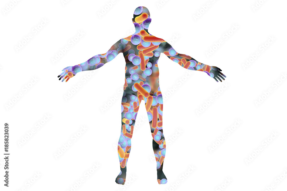Human body silhouette made from bacteria, 3D illustration. Concept for human microbiome or disease-causing microbes Human body silhouette made from bacteria, 3D illustration. Concept for human microbiome or disease-causing microbes
