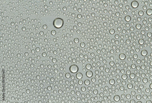 Water drops on gray background