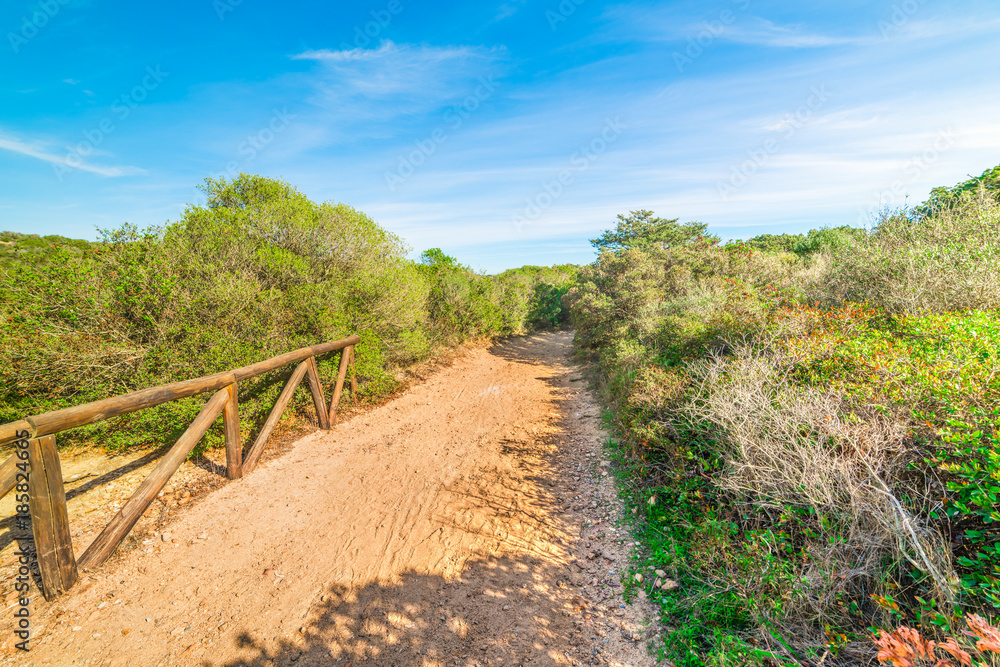 Obraz premium Walk path in La Maddalena
