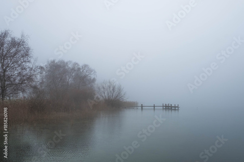 Ufer des Pf  ffikersees im Nebel
