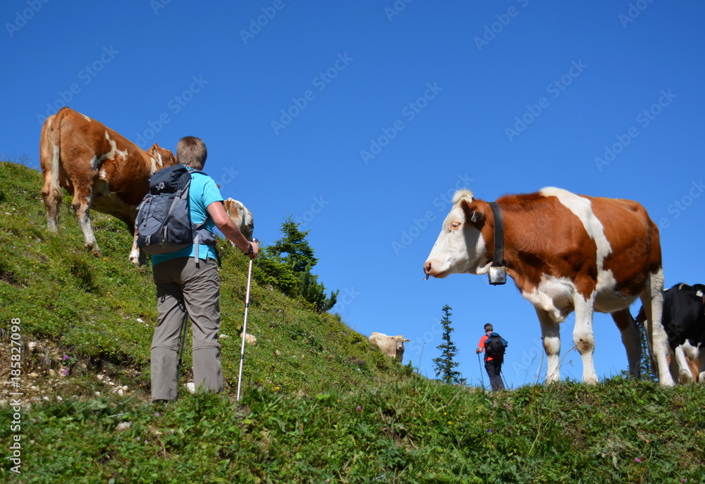 Wandern im Allgäu