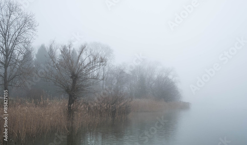 Ufer des Pfäffikersees im Nebel