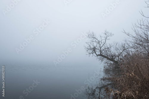 Ufer des Pfäffikersees im Nebel photo