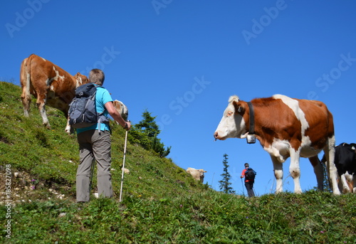 Obraz na płótnie Wandern im Allgäu w salonie