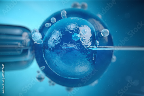 3d illustration artificial insemination, fertilisation, Injecting sperm into egg cell. Assisted reproductive treatment. photo