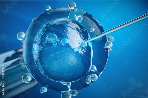 Canvas Print 3d illustration artificial insemination, fertilisation, Injecting sperm into egg cell