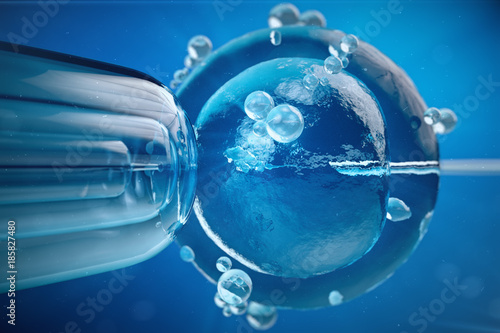 Obraz na plátne 3d illustration artificial insemination, fertilisation, Injecting sperm into egg cell