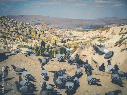 pigeons in rural mountain landscape, cappadocia, Turkey - photo