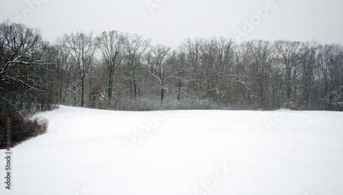 Unblemished field after a heavy snow 