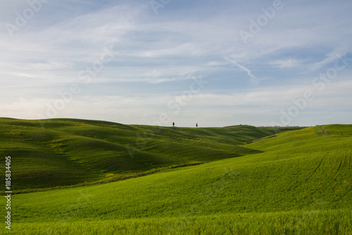 Waving hills in Tuscany