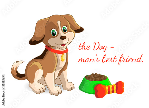 Dog pet puppy sitting in the food bowl bone gift food a Jolly good smiles