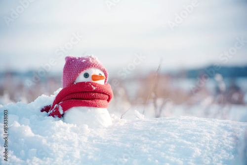 Little snowman girl in a pink knitted hat and a scarf on snow in the winter. Festive background with a lovely snowman. Christmas card, copy space © isavira