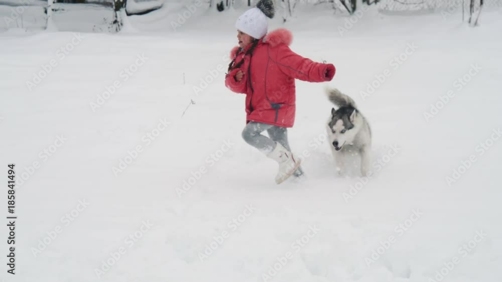 Young girl playing with siberian husky dog on the snow outdoors in slow motion.