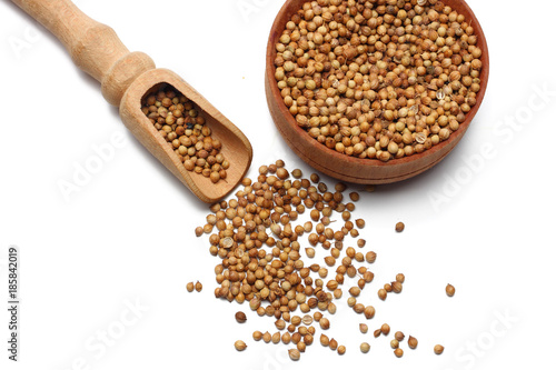coriander seeds in wooden spoon isolated on white background top view