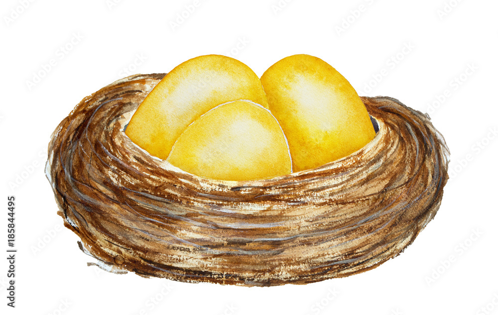 Golden Egg Nest Stock Illustrations, Cliparts and Royalty Free Golden Egg  Nest Vectors
