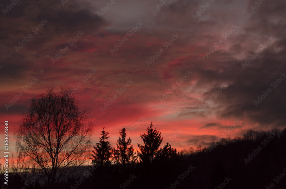 Fototapeta premium purple sunset outdoor